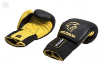 Luva de Boxe Pretorian Coverage 16OZ